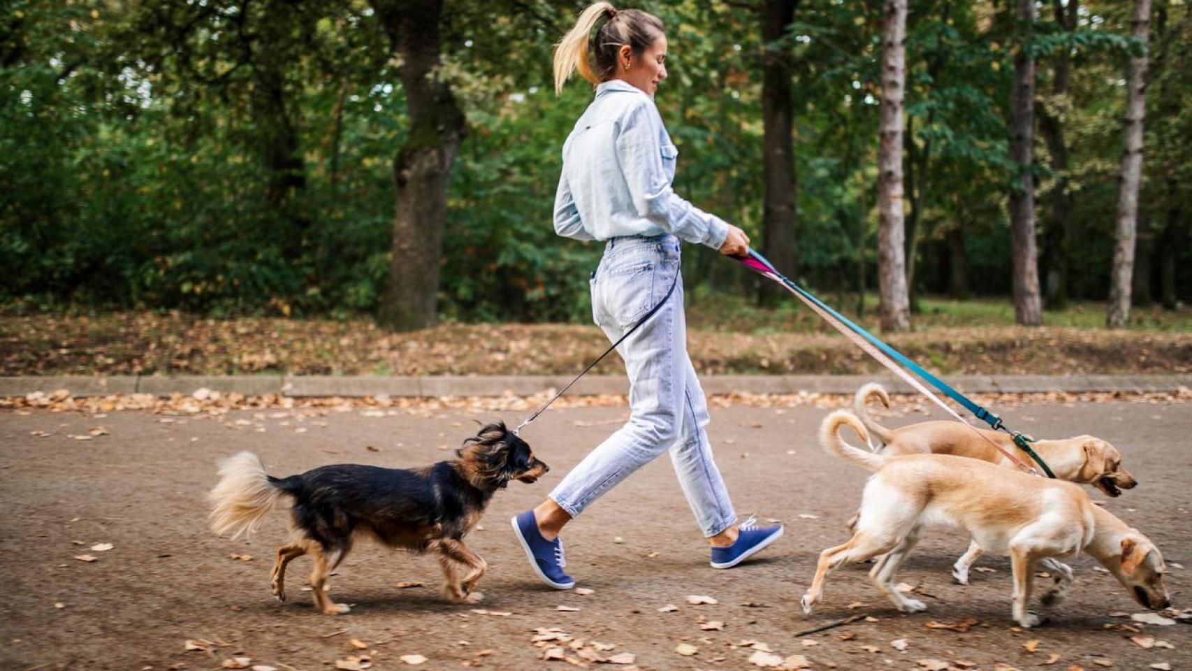 Mujer paseando con sus perros por el parque.