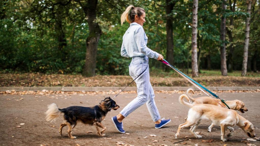 Mujer paseando con sus perros por el parque.