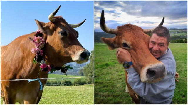 Sorteo caca de la vaca de Galicia.