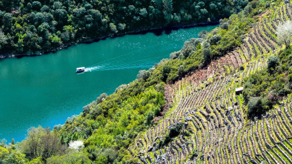 Ruta en catamarán por la Ribeira Sacra