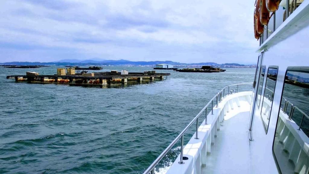 Ruta en catamarán con visión submarina en las Rías Baixas