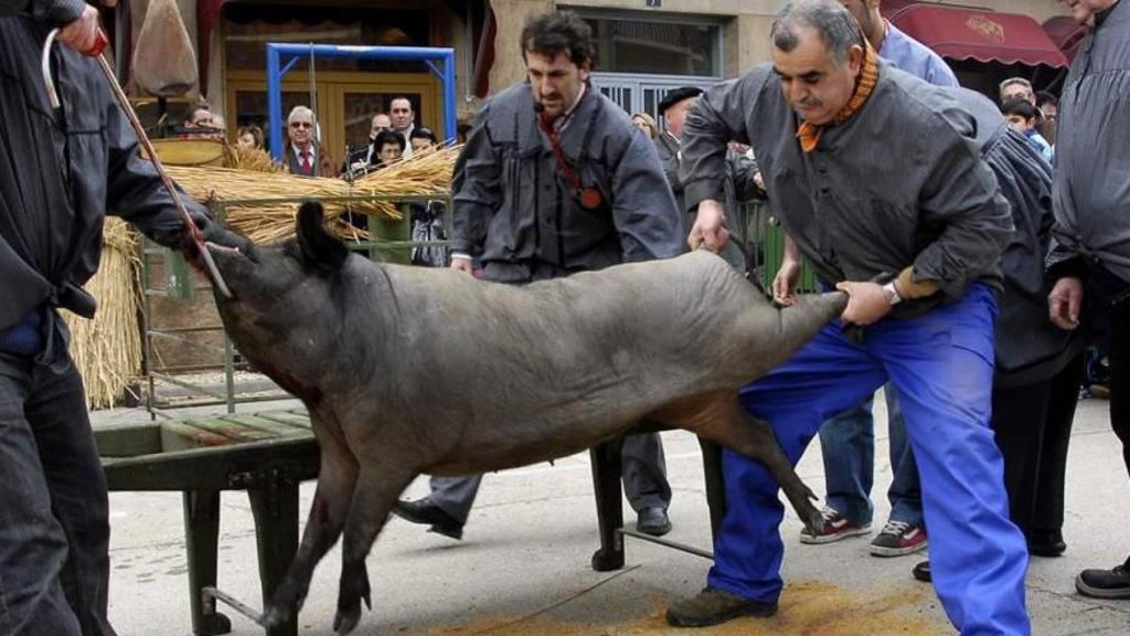 Imagen de la mataza que ha sido criticada por la asociación de bienestar animal