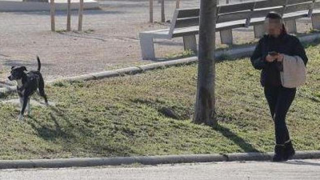 Imagen de una mujer con su perro suelto por un parque