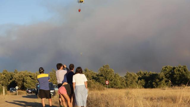 Situación crítica en Aliste: 180 efectivos luchan contra el fuego, que ya ha arrasado 100 hectáreas de árboles