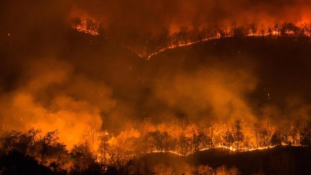 Imagen de un incendio forestal durante la noche.