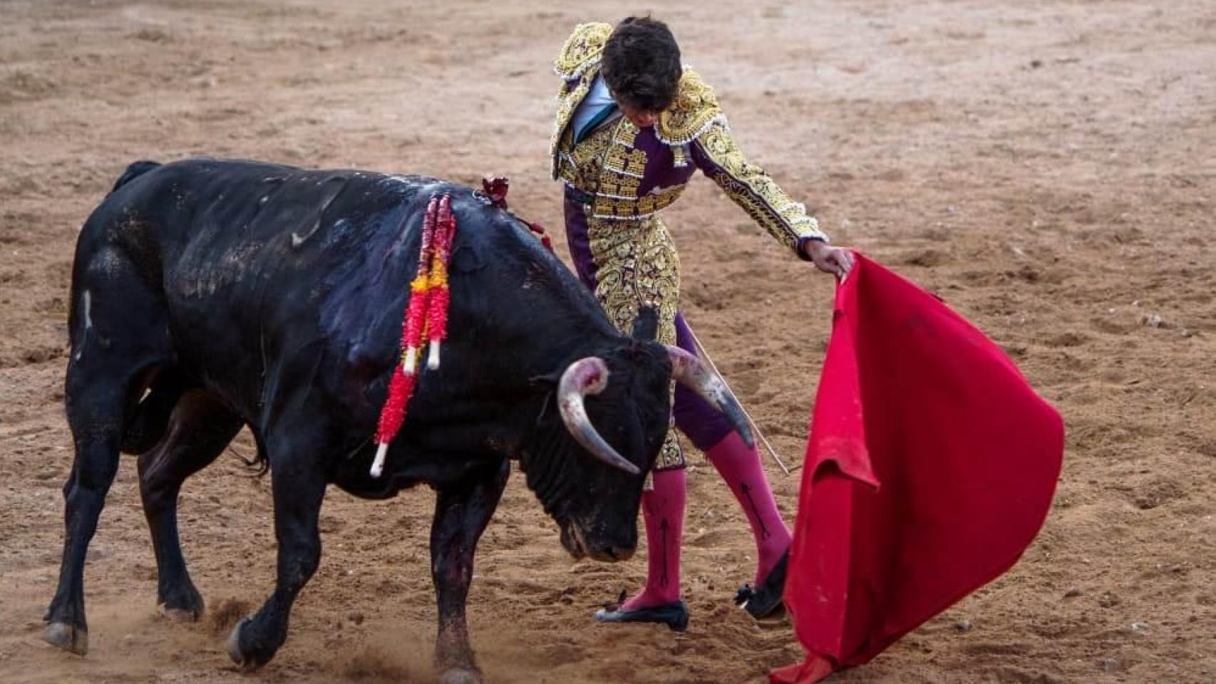 Las mejores fotografías de la novillada de El Burgo de Osma