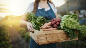 Mujer recogiendo la cosecha de verduras.