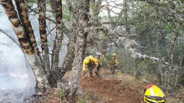 ARCHIVO - Brif Tabuyo en otro incendio en Villablino