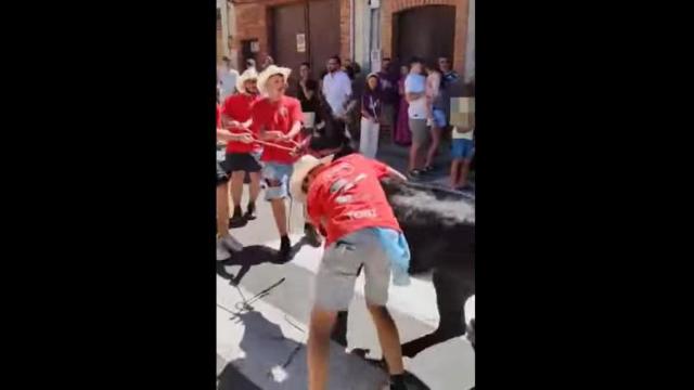 Carrera de burros en Boñar (León)