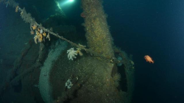 Pecio del HMS Hawke localizado en las costas de Escocia.