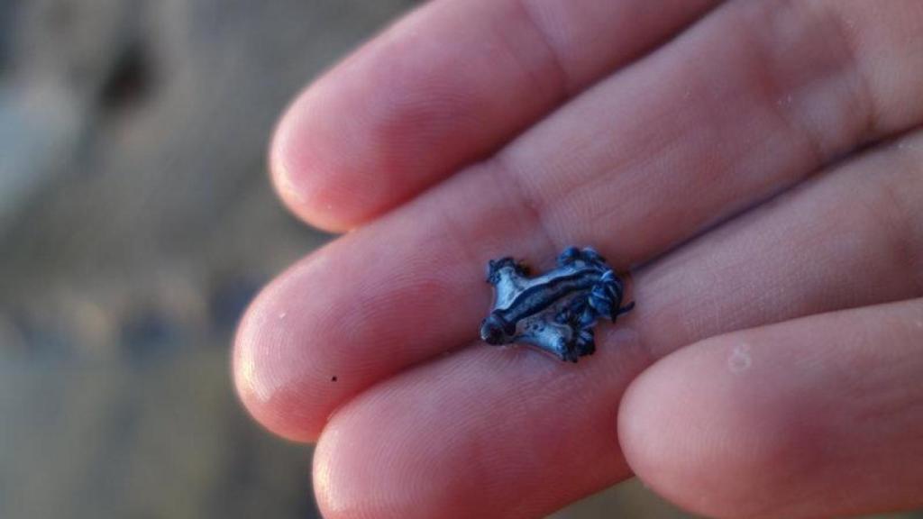 Dragón azul en la mano de una persona.