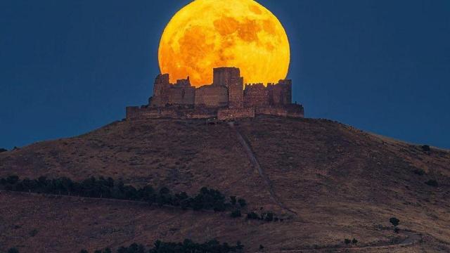 Un recorte de la fotografía premiada.