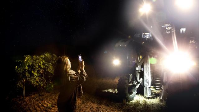 La ‘Vendimia de las Estrellas’: una experiencia que debes vivir al menos una vez en tu vida