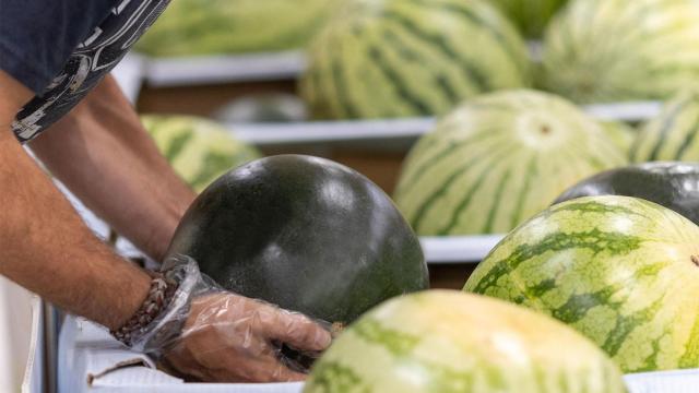 Un cliente de Mercadona selecciona una sandía.