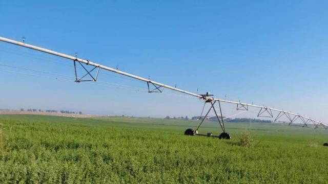 La tecnología ya es imprescindible en el sector agroalimentario.