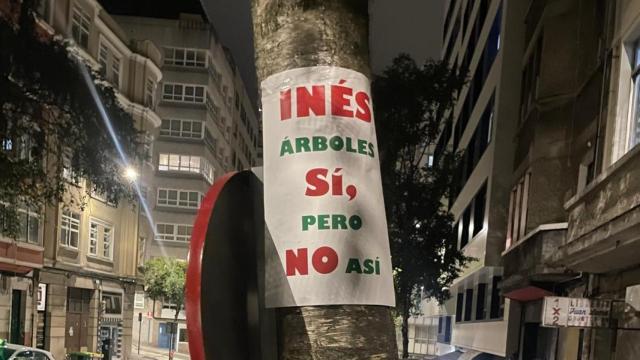 Carteles en los árboles de Pla y Cancela