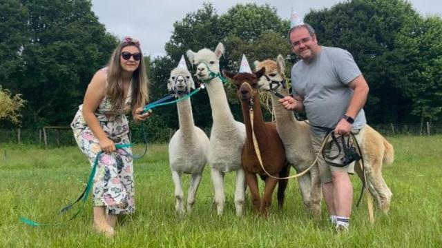 Granja de alpacas dirigida por una pareja inglesa.