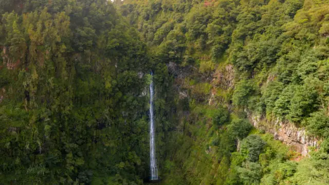 Imagen del a cascada Água d'Alto, en Faial, Santana, en la isla de Madeira.