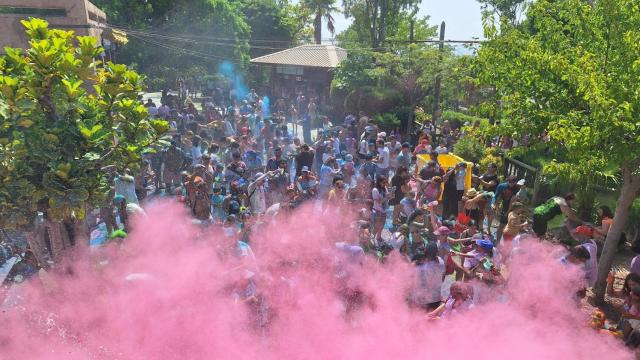 Nubes de colores llenan el parque de Terra Natura para celebrar el cumpleaños de la elefanta 'Petita' este sábado.