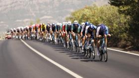 El pelotón ciclista, durante la octava etapa de La Vuelta.