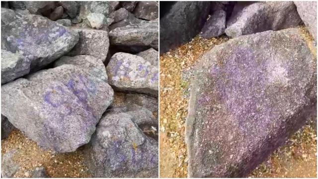 Pintan de morado las rocas de la playa de Oza, en A Coruña