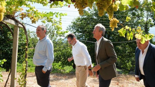 Alfonso Rueda, durante la visita a una bodega este lunes.