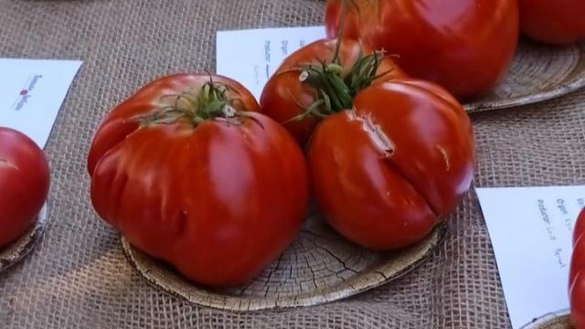 Una imagen de la VI Feria del Tomate Antiguo, celebrada en Polanco.