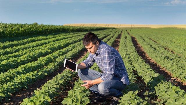 Un joven agricultor, en una imagen de recurso.