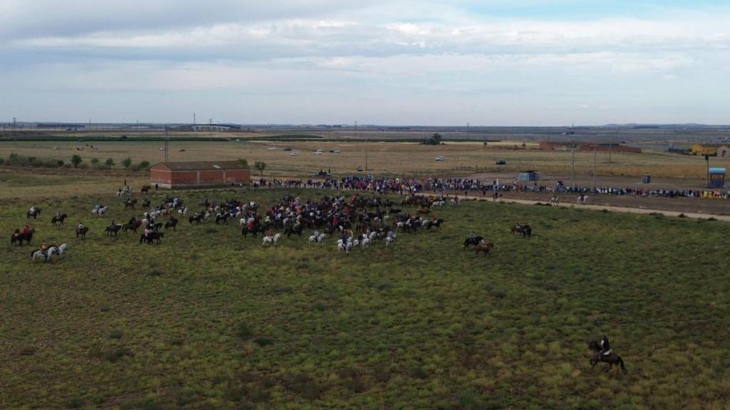 Encierro en las Fiestas de Medina del Campo