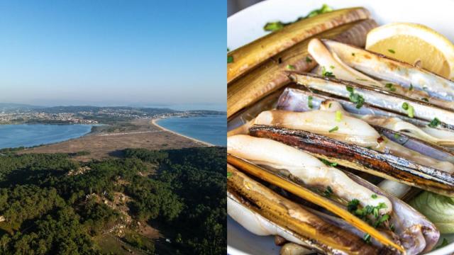 Marisco en un pueblo costero de Pontevedra.