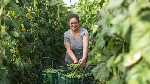 Los proveedores localaes son una pieza fundamental