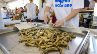 Guía de planes para el fin de semana en Málaga: degustaciones gratuitas y actividades en la provincia