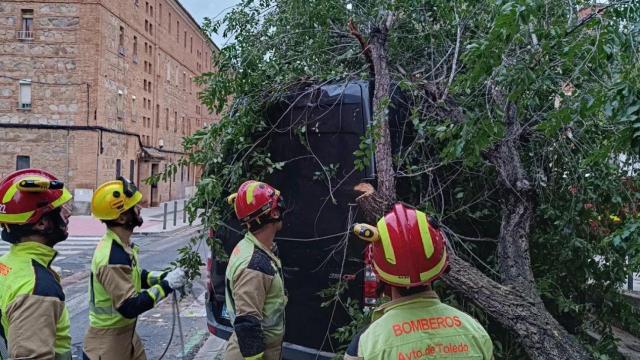 Una gran rama caída sobre una furgoneta en el barrio de Palomarejos. Foto: Bomberos de Toledo.