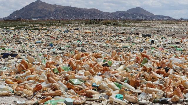 Fotografía de archivo que muestra la contaminación en el lago Uru Uru en Oruro (Bolivia).