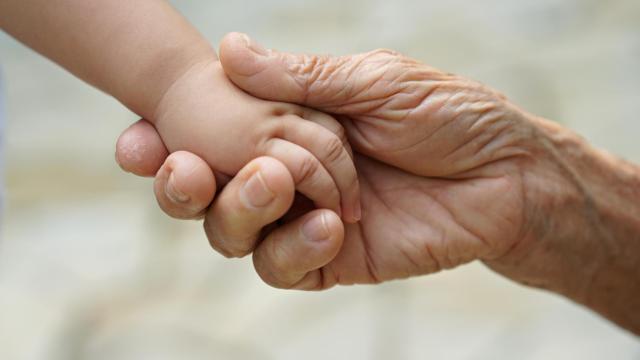 Las manos de un anciano y un niño se tocan