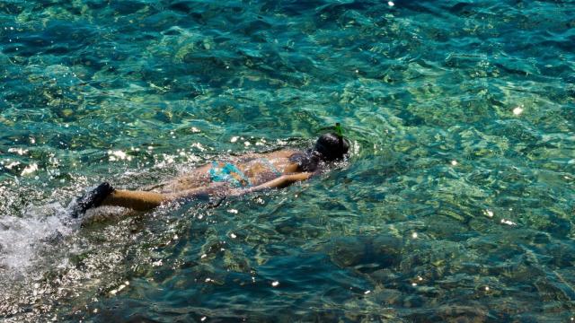 Una niña practica snorkel