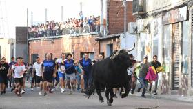 Los encierros de Yuncos (Toledo).