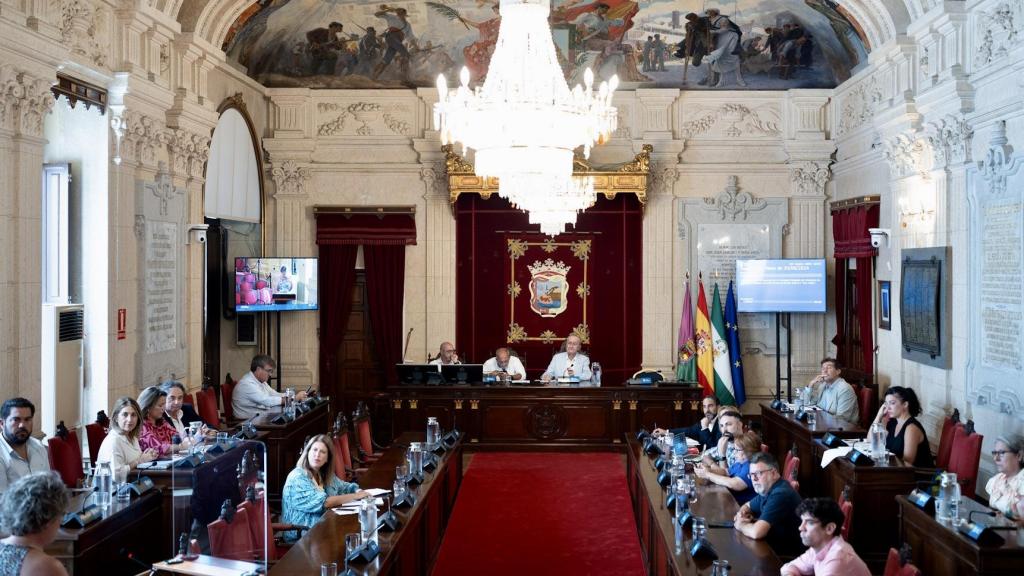 Un momento del Pleno extraordinario del Ayuntamiento de Málaga celebrado este viernes.