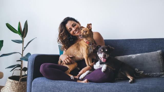 Las familias con mascotas lo tienen más difícil para alquilar