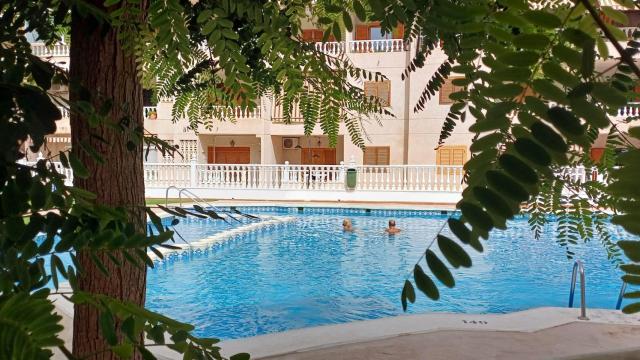 La piscina España de Torrevieja.