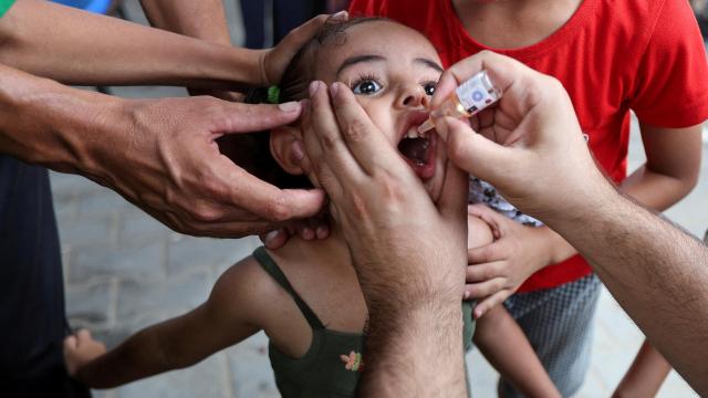 Niños palestinos son vacunados contra la polio en Deir Al-Balah, en el centro de la Franja de Gaza.