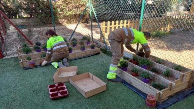 Jardineras CEIP San Blas.