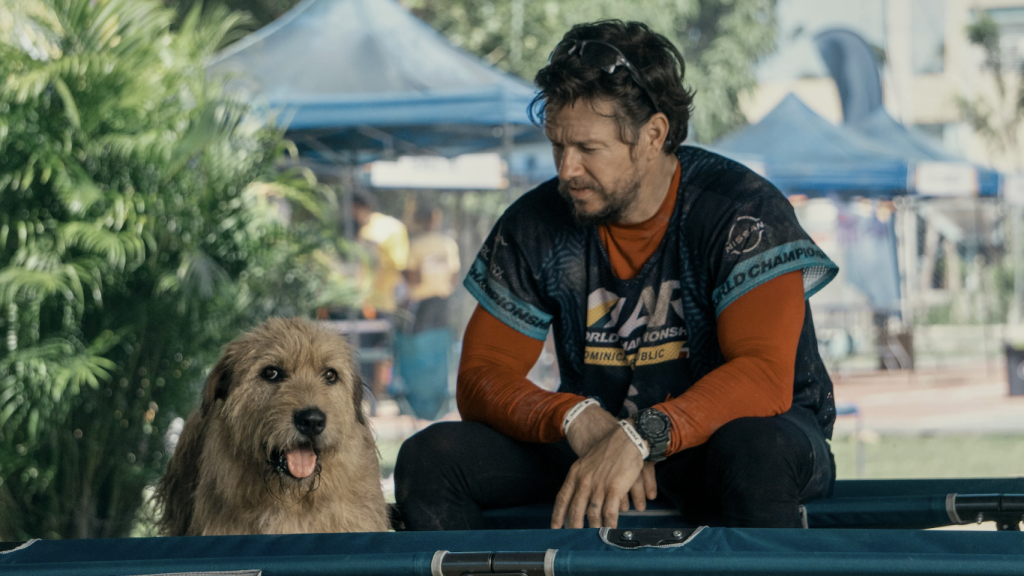 Está basado en hechos reales y es lo más visto en Amazon: un drama conmovedor con Mark Wahlberg y un perro