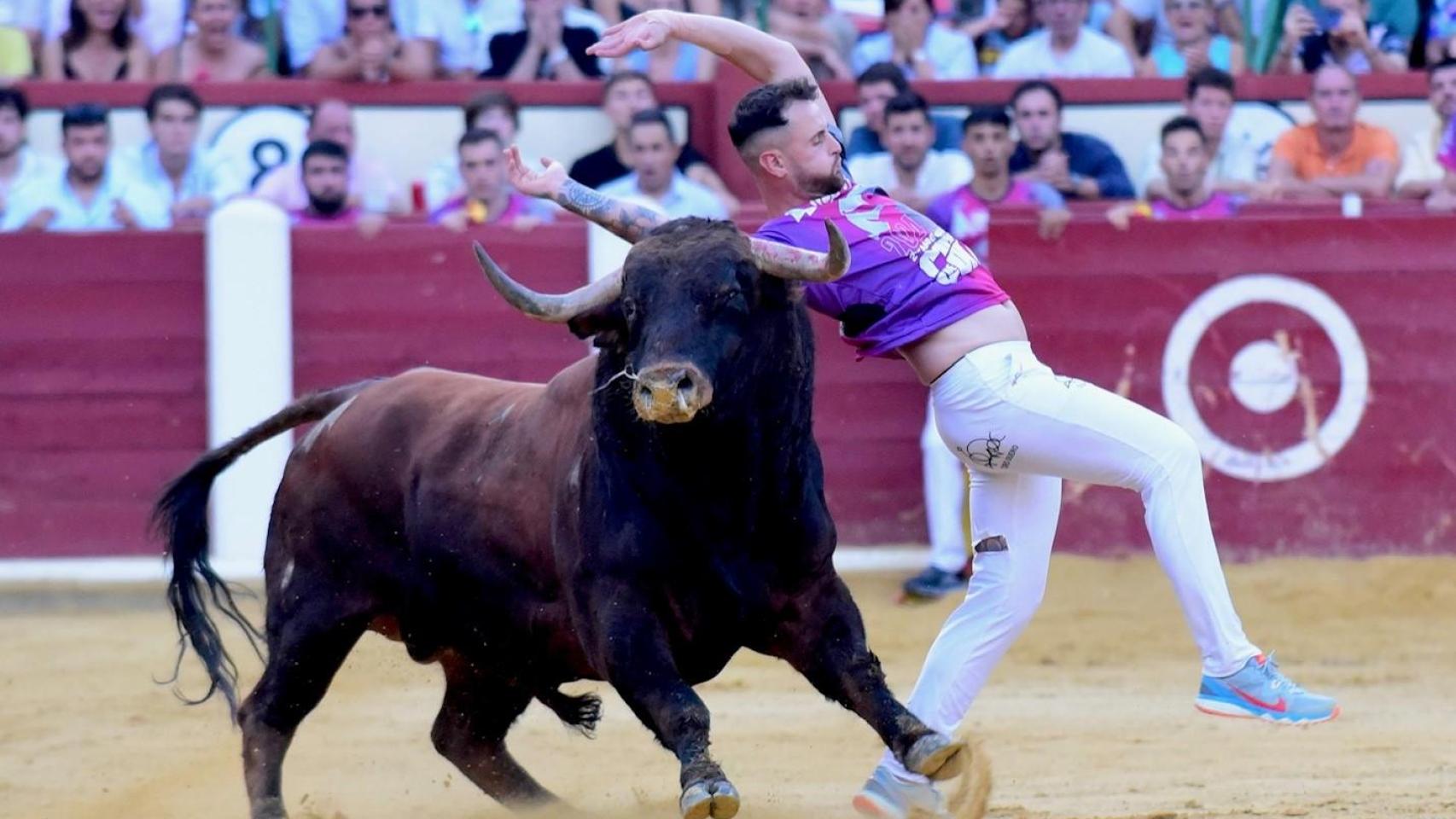 Concurso de cortes de Valladolid