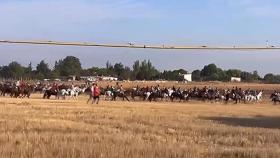 Primer encierro de las Fiestas de San Antolín 2024 en Medina del Campo