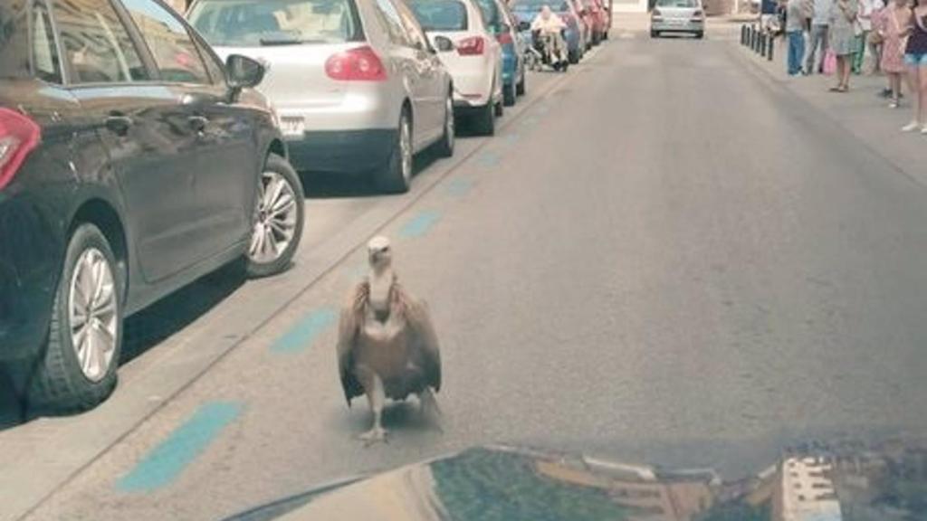 Foto: Policía Nacional