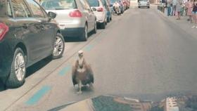 Foto: Policía Nacional