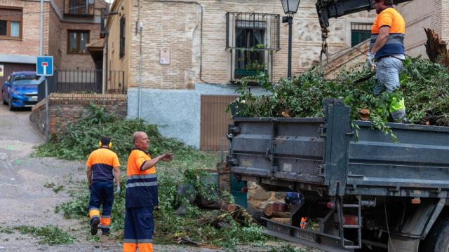 Las DANA de 2021 y 2023 causaron grandes destrozos en la masa arbórea de la ciudad.