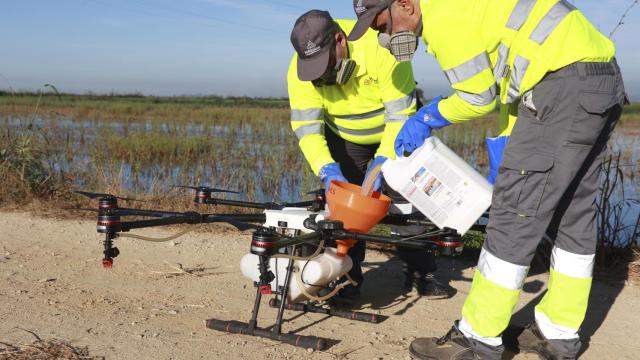 Operarios preparan un dron para realizar labores de fumigación en La Puebla del Río.