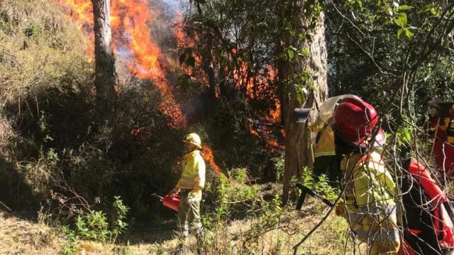 Formación en quemas prescritas en un incendio forestal en Valle Sagrado de los Incas (Machu Pichu) Perú. EE